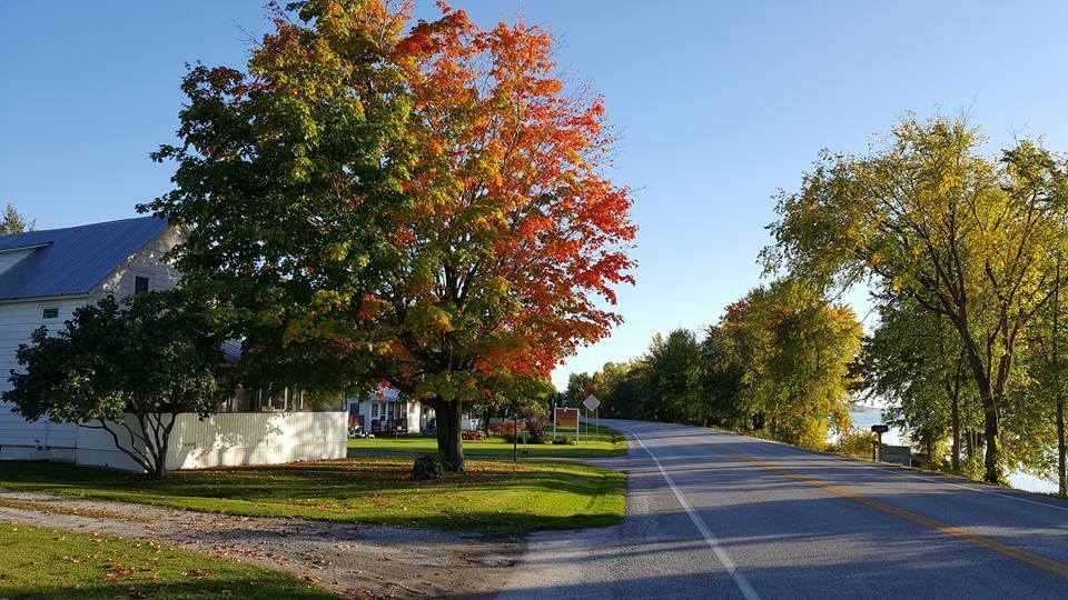 WestShoreCabinsColorsofFall West Shore Cabins on Lake Champlain
